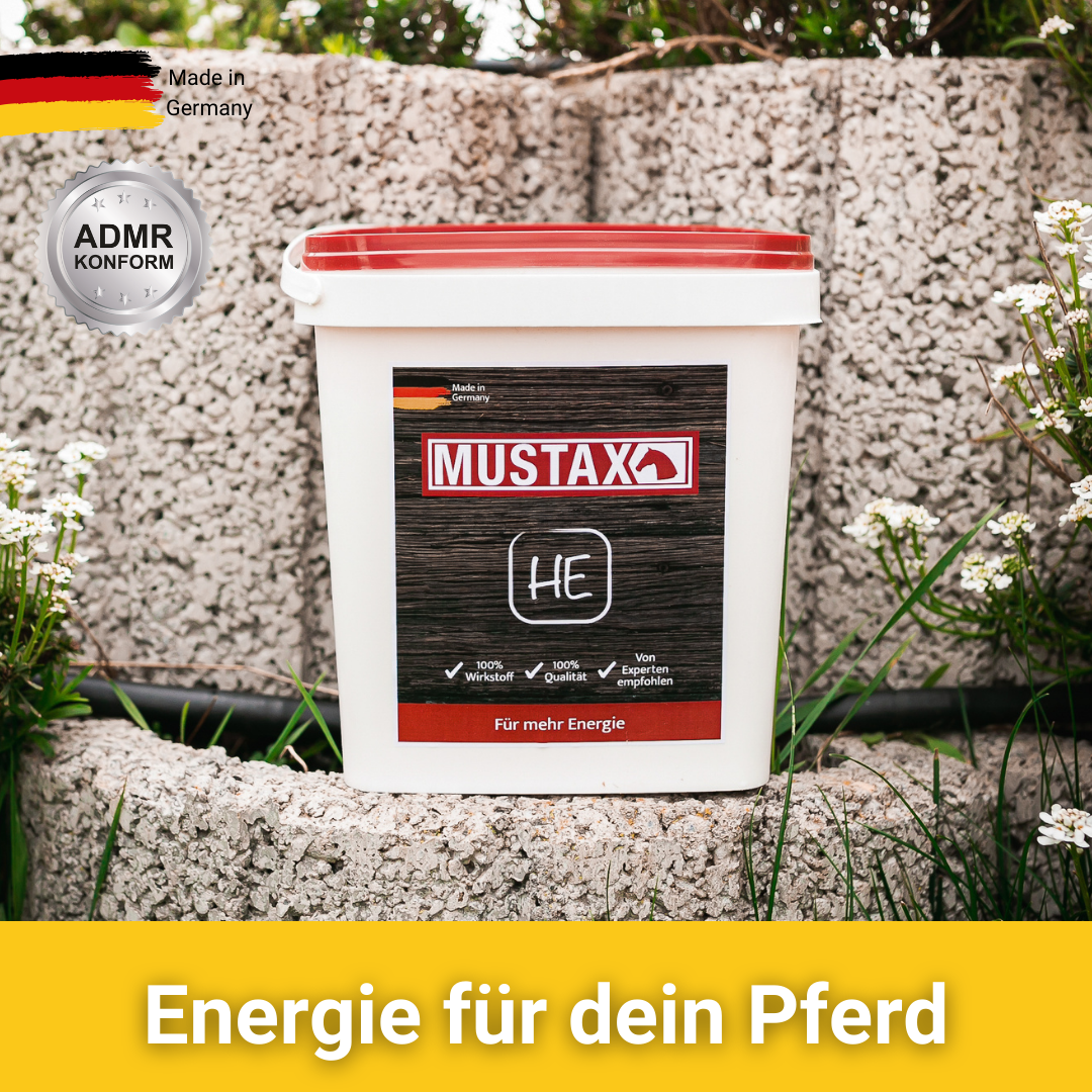 MUSTAX Hoge Energie