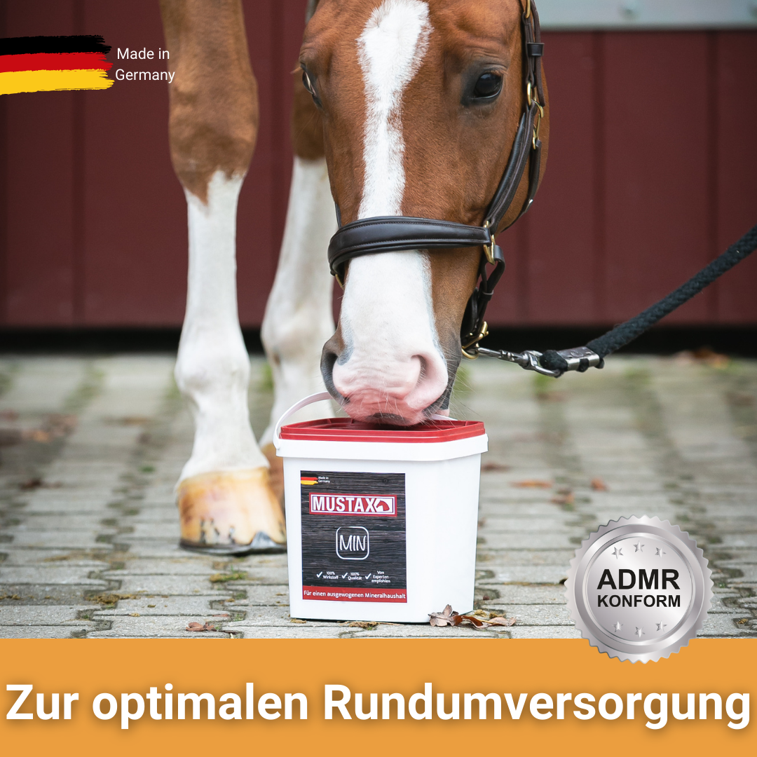MUSTAX Mineraal