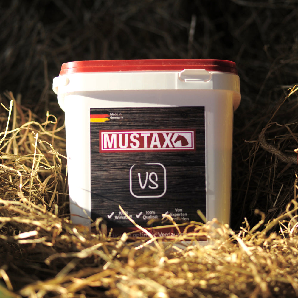 MUSTAX Spijsverteringsstimulans