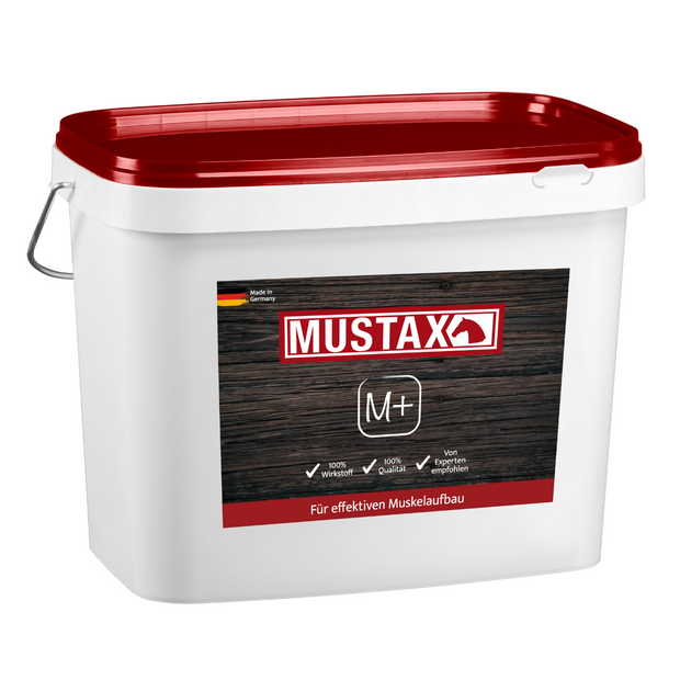 MUSTAX Spier+