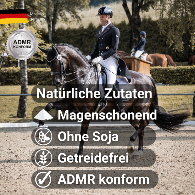 MUSTAX Hoge Energie