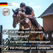 MUSTAX Hoge Energie