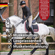MUSTAX Spier+