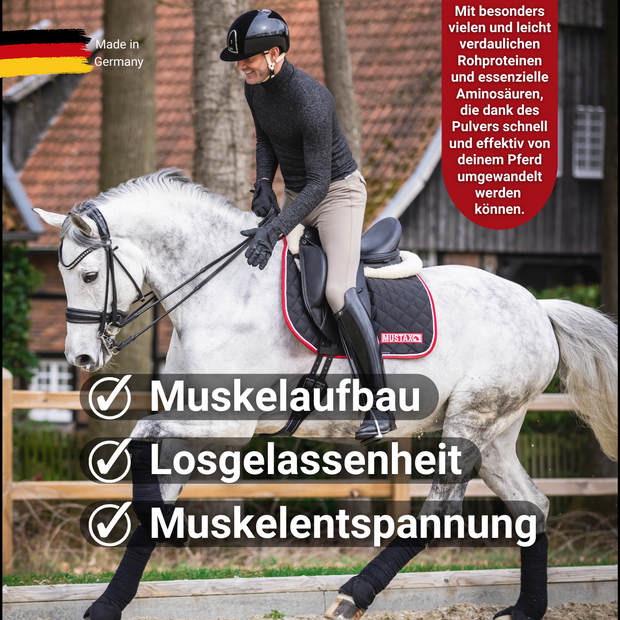 MUSTAX Spier+
