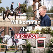 MUSTAX Hoge Energie
